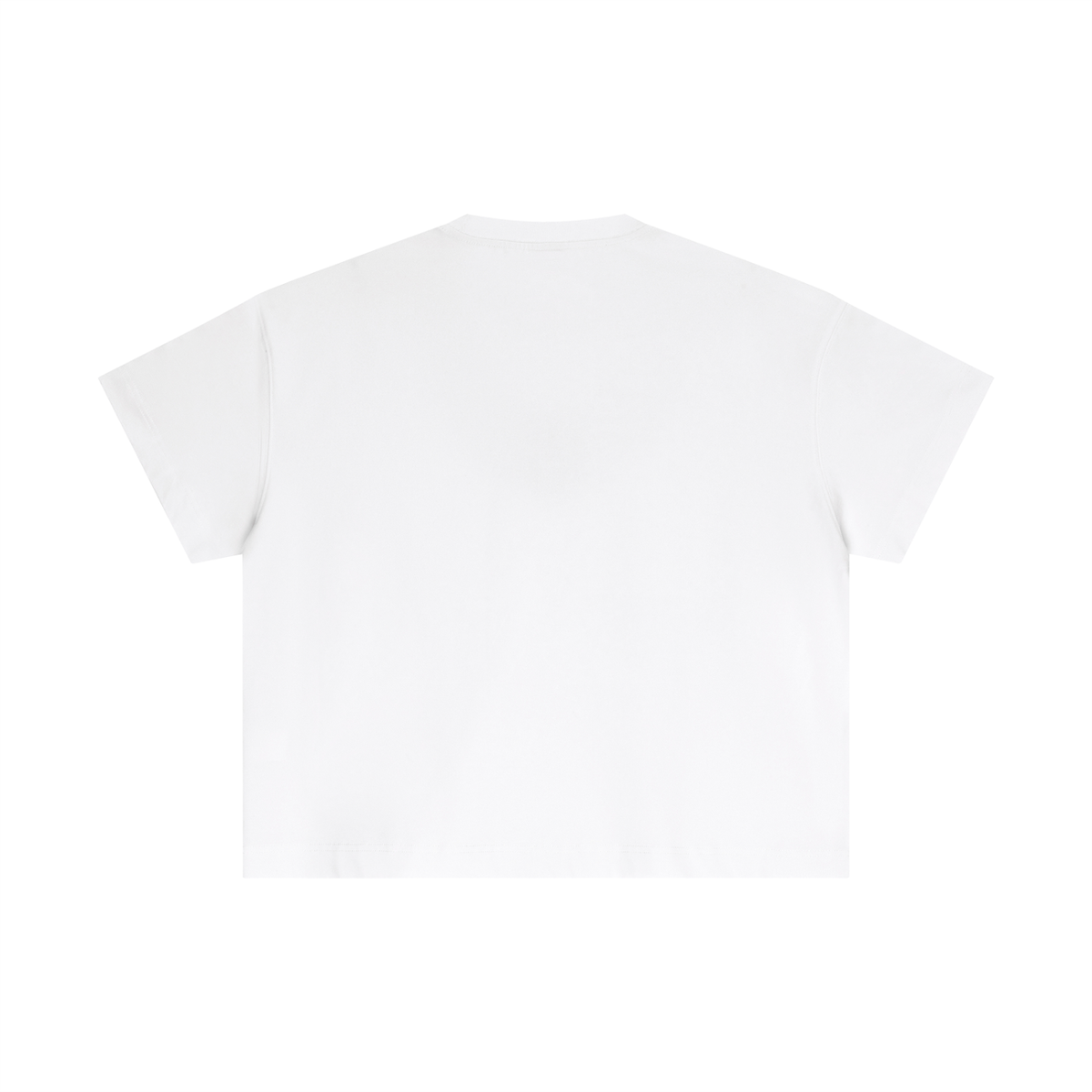 Statement Embroidered Cotton Boxy T-Shirt