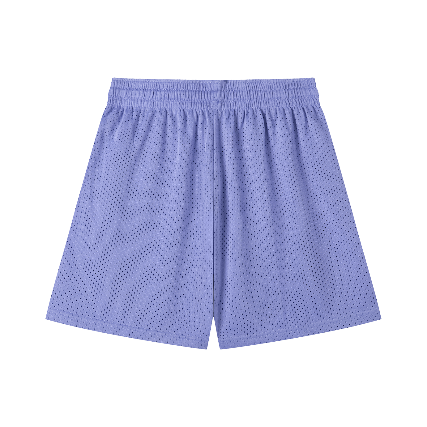 Purple Mesh Shorts