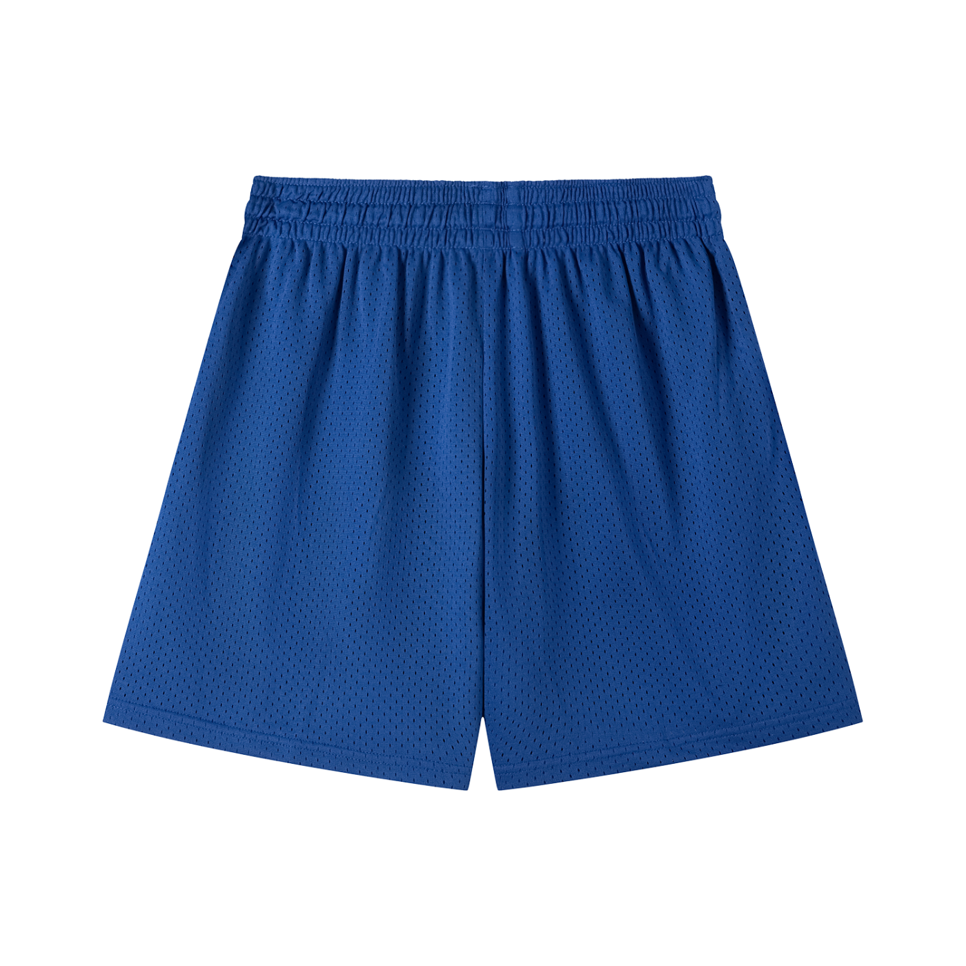 Blue Mesh Shorts