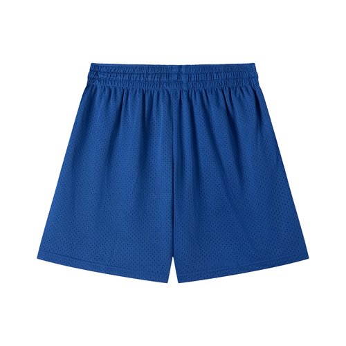 Blue Mesh Shorts