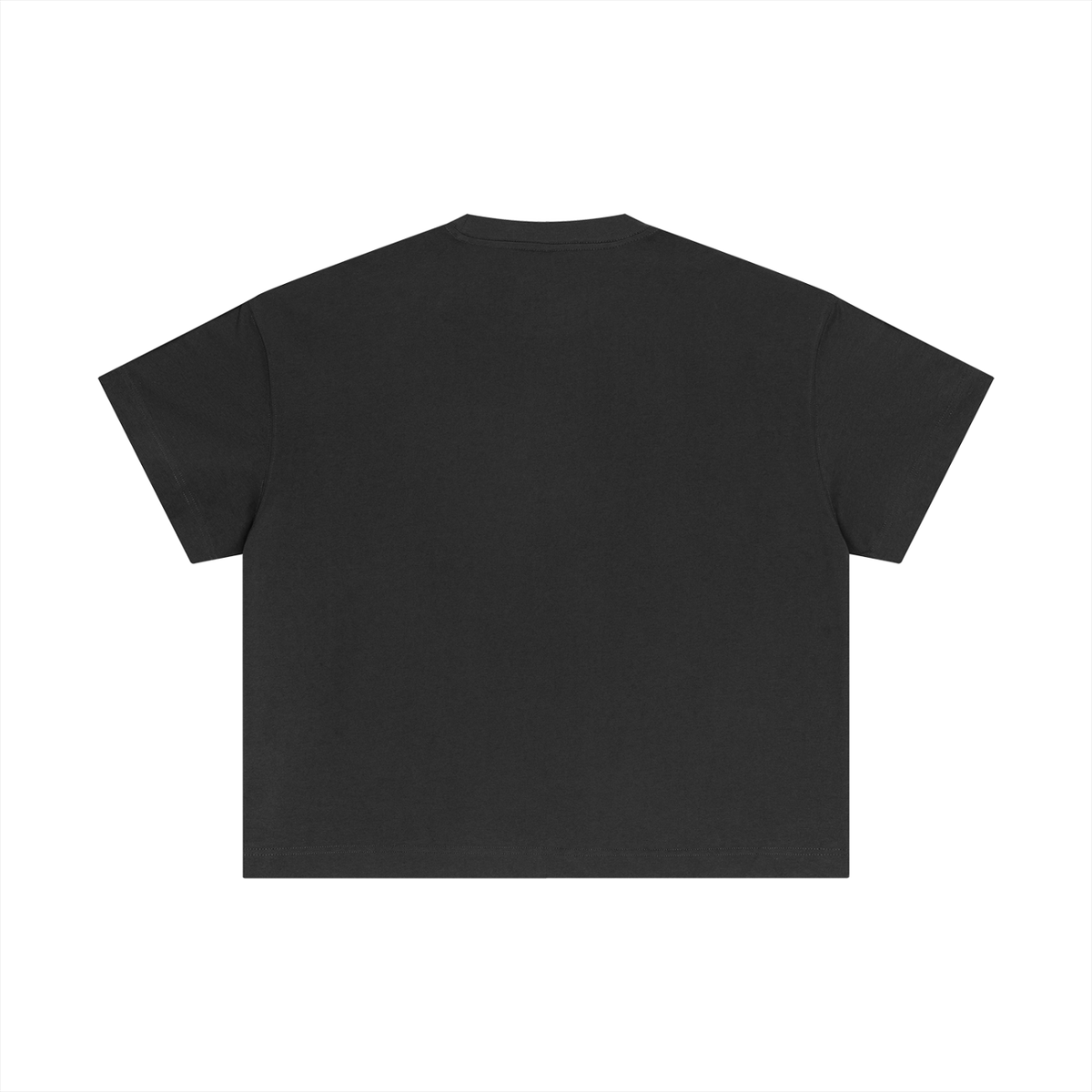 Statement Embroidered Cotton Boxy T-Shirt